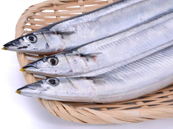 山东专业工厂快餐配送电话