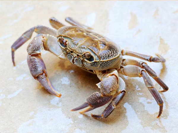 开封专业食堂承包公司