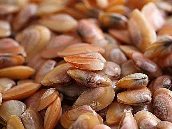 宁波提供食堂承包价格