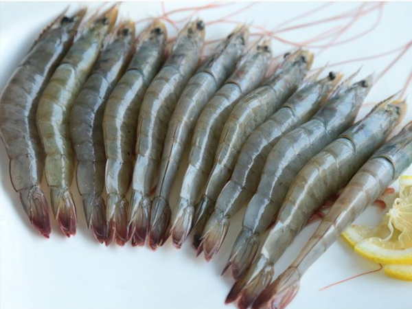 嘉兴提供员工食堂承包电话