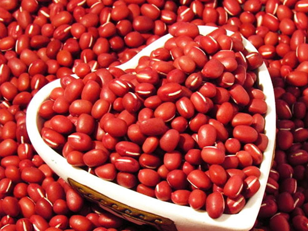 哈尔滨专业工厂食堂价格