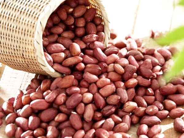 上海专业食堂托管价格