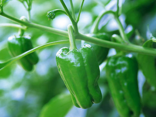 台州优质食堂外包价格