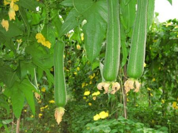 德州专业中央厨房托管价格