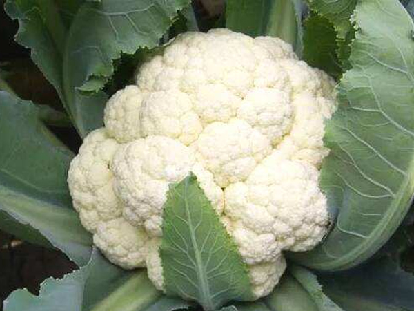 舟山优质承包食堂电话