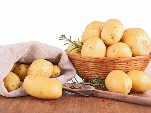 安庆专业快餐配送电话