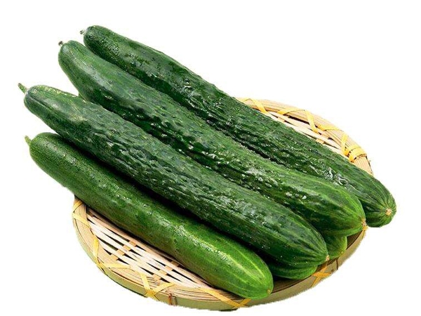 定西黄瓜